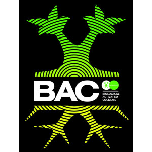 B.A.C.     (Нидерланды)