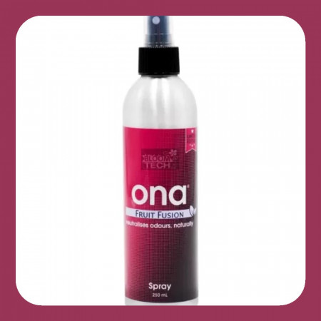 ONA Spray Fruit Fusion 250 мл