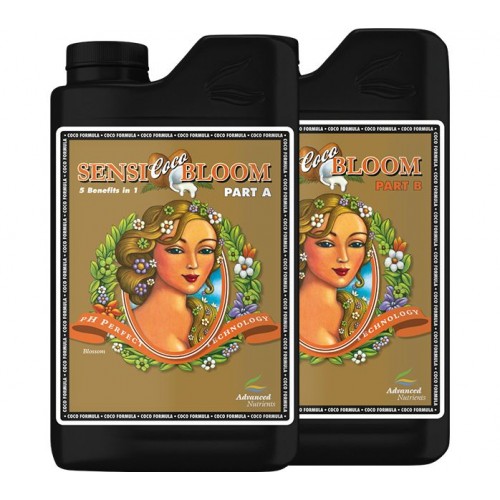 Sensi Coco Bloom Sensi Coco Bloom