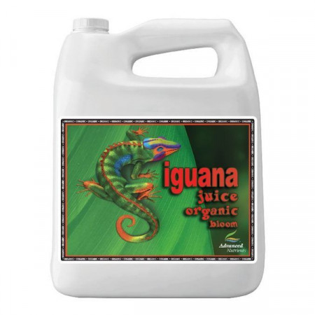 Iguana Juice Organic Bloom 500 ml