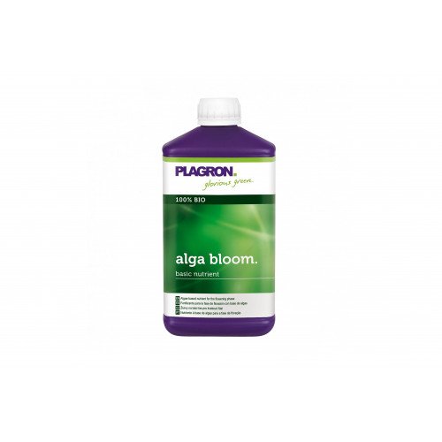  Alga Bloom