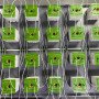 Подставка для защиты и равномерного полива Drip shield