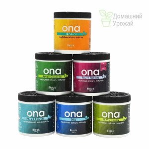ONA
